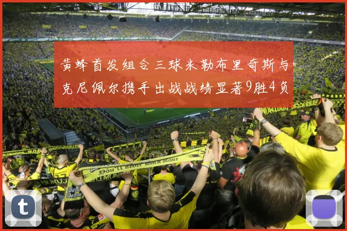 黄蜂首发组合三球米勒布里奇斯与克尼佩尔携手出战战绩显著9胜4负