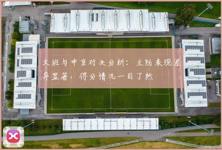 文班与申京对决分析：主防表现差异显著，得分情况一目了然