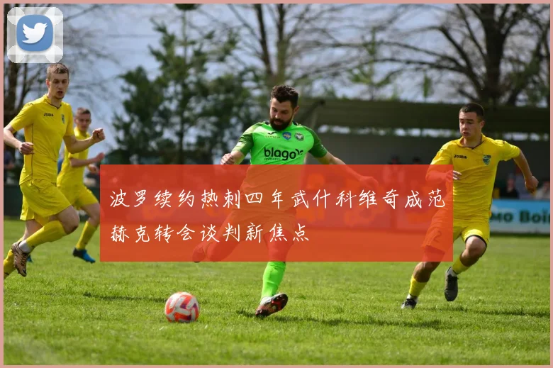 波罗续约热刺四年武什科维奇成范赫克转会谈判新焦点