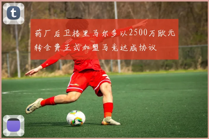 药厂后卫格里马尔多以2500万欧元转会费正式加盟马竞达成协议